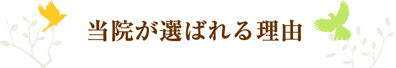 ふわり柔整院が選ばれる理由